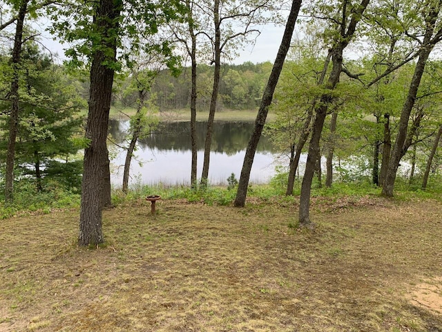 5093 E County Line Rd, Michigan, MI 49411 - water view featuring a heavily wooded area