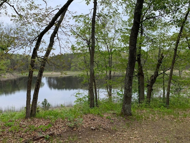 5093 E County Line Rd, Michigan, MI 49411 - water view featuring a forest