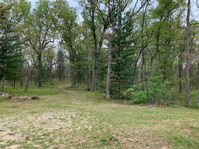 5093 E County Line Rd, Michigan, MI 49411 - view of woods