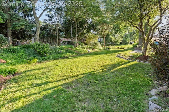 1304 Player Dr, Troy, MI 48085 - view of grassy yard