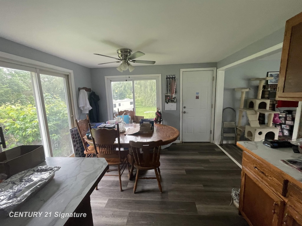11469 Duffield Rd, Montrose, MI 48457 - dining area with ceiling fan and dark wood-type flooring