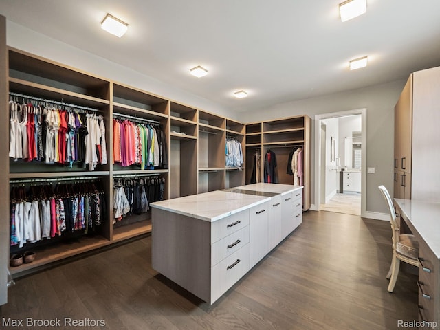 4890 Charing Cross Rd, Bloomfield Hills, MI 48304 - spacious closet with dark wood-type flooring
