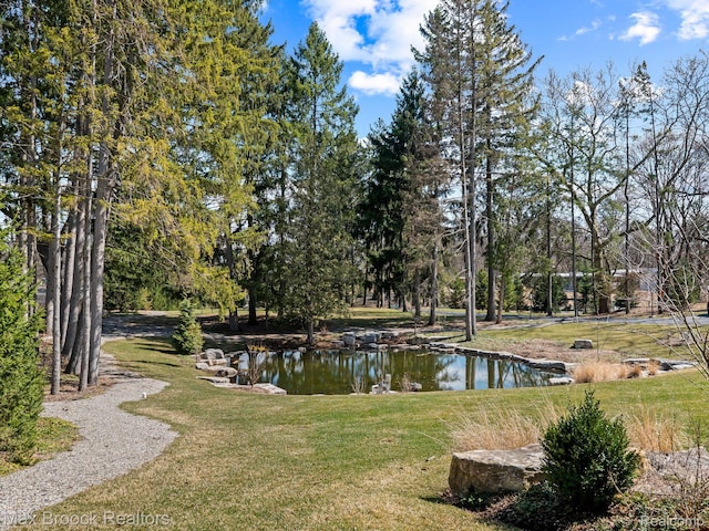 4890 Charing Cross Rd, Bloomfield Hills, MI 48304 - view of grassy yard
