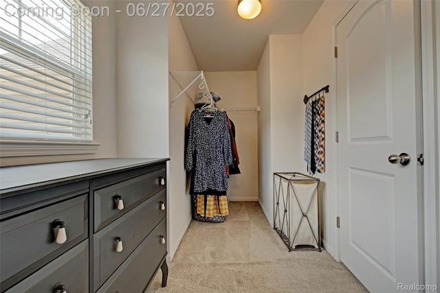 28545 Cottage Ln, New Hudson, MI 48165 - walk in closet featuring light carpet