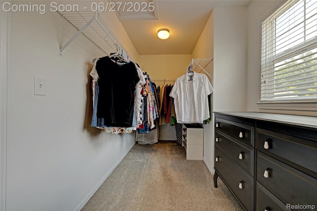 28545 Cottage Ln, New Hudson, MI 48165 - spacious closet featuring light carpet