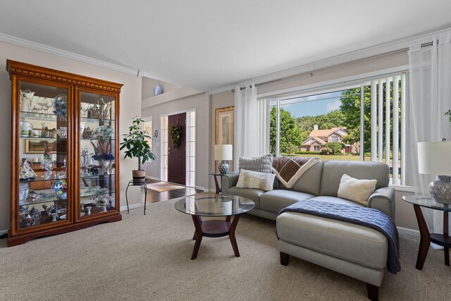 7662 Hidden Ponds Blvd, Brighton, MI 48114 - carpeted living area featuring crown molding and baseboards