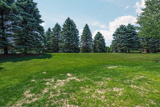 7662 Hidden Ponds Blvd, Brighton, MI 48114 - view of grassy yard