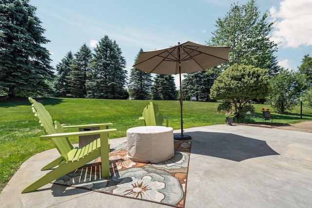 7662 Hidden Ponds Blvd, Brighton, MI 48114 - view of patio