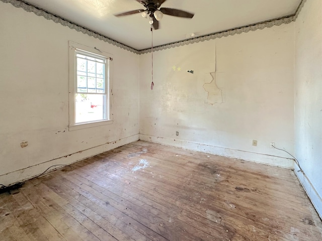 380 W 17th St, Holland, MI 49423 - photo 24