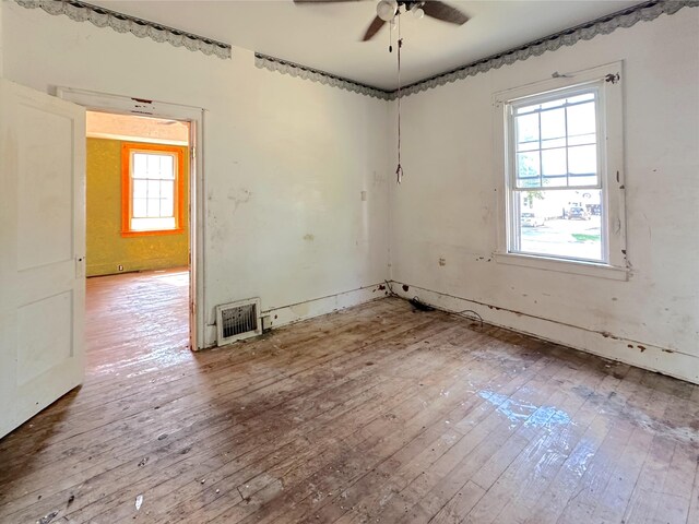 380 W 17th St, Holland, MI 49423 - photo 25