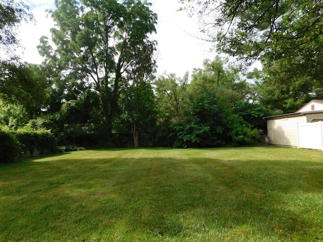 2504 Dexter Ave, Kalamazoo, MI 49004 - view of grassy yard