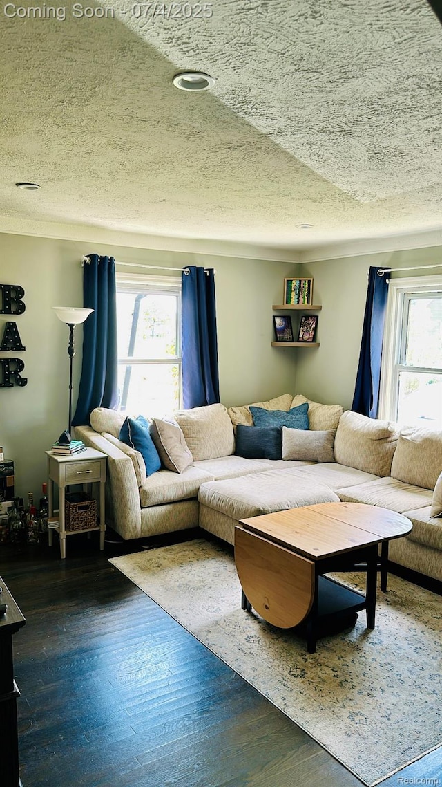 23360 Battelle Ave, Hazel Park, MI 48030 - living area with a textured ceiling, plenty of natural light, and dark wood-style floors