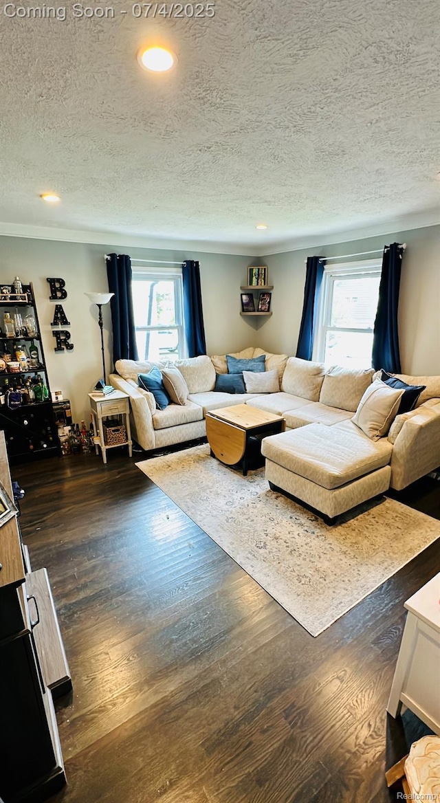 23360 Battelle Ave, Hazel Park, MI 48030 - living area featuring a textured ceiling, dark wood-style flooring, and recessed lighting