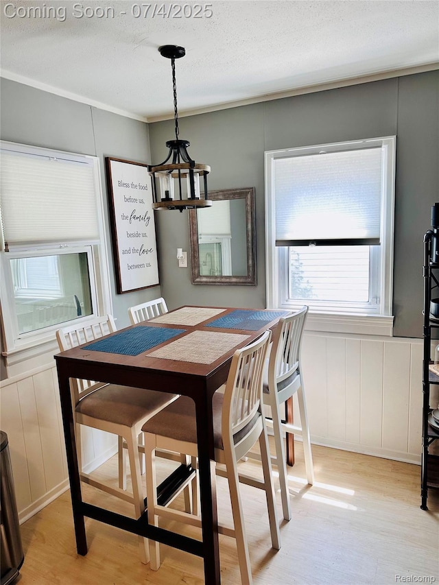 23360 Battelle Ave, Hazel Park, MI 48030 - dining space with a decorative wall, a chandelier, light wood-type flooring, and a wainscoted wall