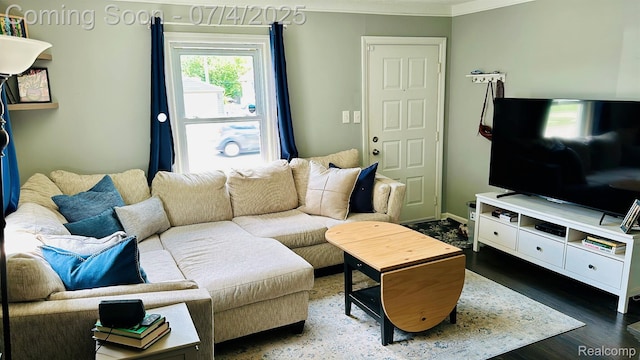 23360 Battelle Ave, Hazel Park, MI 48030 - living area featuring ornamental molding and wood finished floors