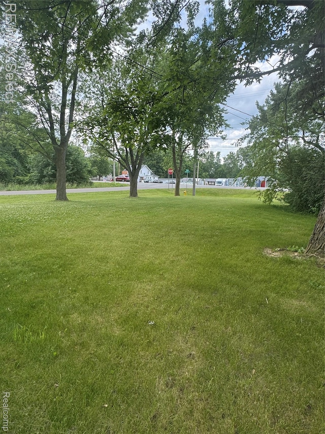 2017 Noble Ave, Flushing, MI 48532 - view of green lawn
