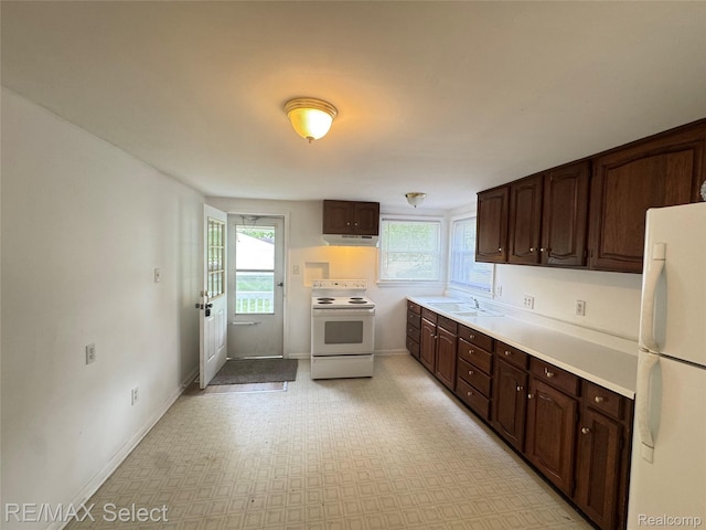 2017 Noble Ave, Flushing, MI 48532 - kitchen featuring white appliances, under cabinet range hood, dark brown cabinetry, and light countertops