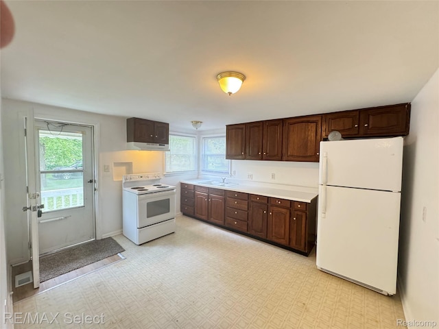 2017 Noble Ave, Flushing, MI 48532 - kitchen featuring white appliances, dark brown cabinets, under cabinet range hood, light countertops, and healthy amount of natural light