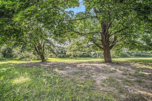 21044 Junction Rd, Bellevue, MI 49021 - photo 16