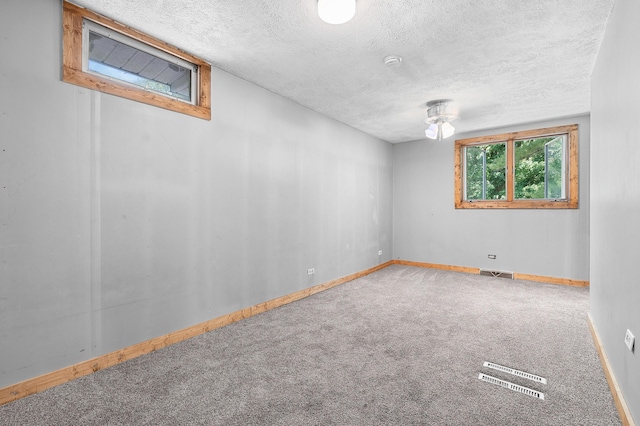 119 Peterson Dr, Gobles, MI 49055 - photo 31