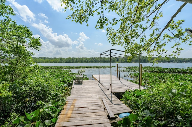 119 Peterson Dr, Gobles, MI 49055 - photo 40