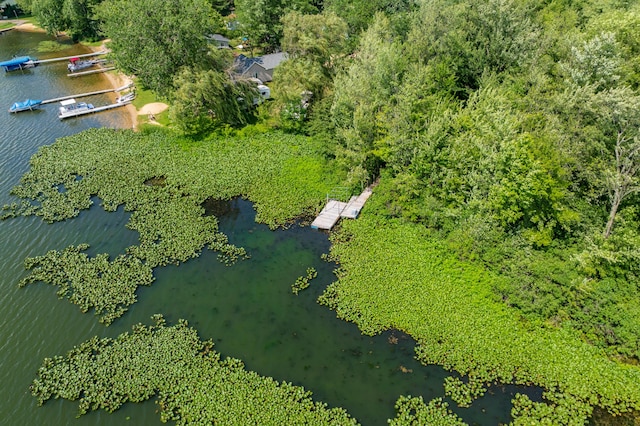 119 Peterson Dr, Gobles, MI 49055 - photo 42