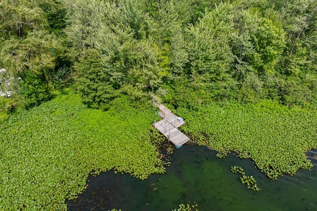 119 Peterson Dr, Gobles, MI 49055 - photo 43