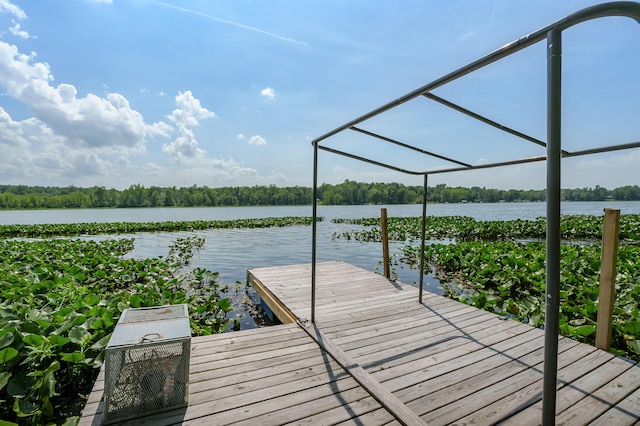 119 Peterson Dr, Gobles, MI 49055 - photo 44