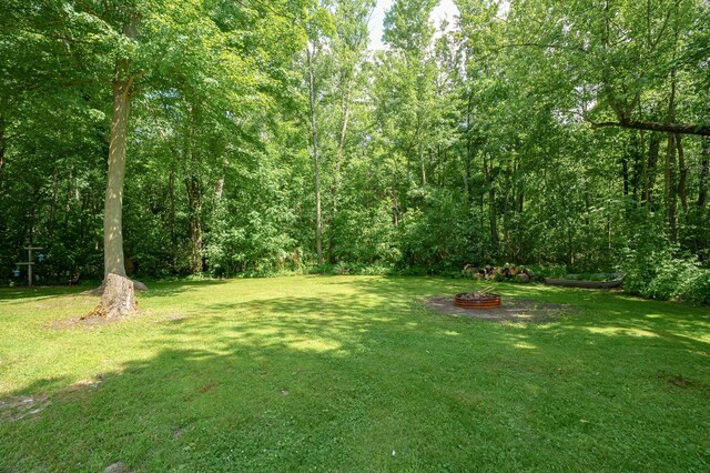 119 Peterson Dr, Gobles, MI 49055 - photo 49