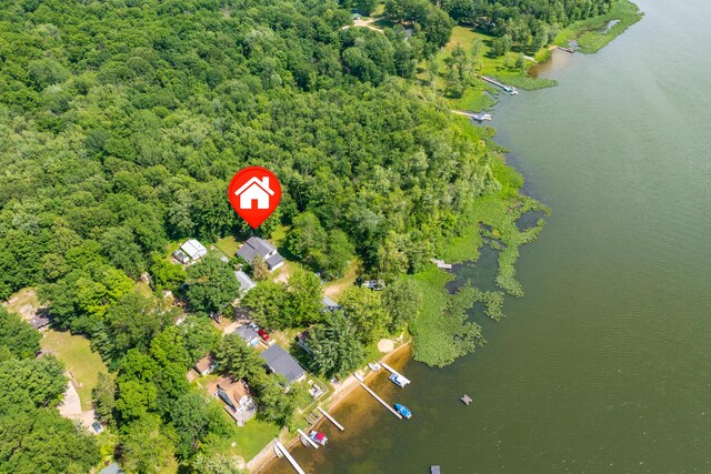 119 Peterson Dr, Gobles, MI 49055 - photo 55