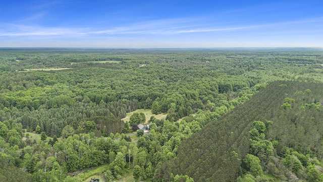7272 E M 113, Michigan, MI 49649 - photo 60