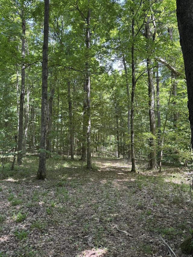 7272 E M 113, Michigan, MI 49649 - photo 58