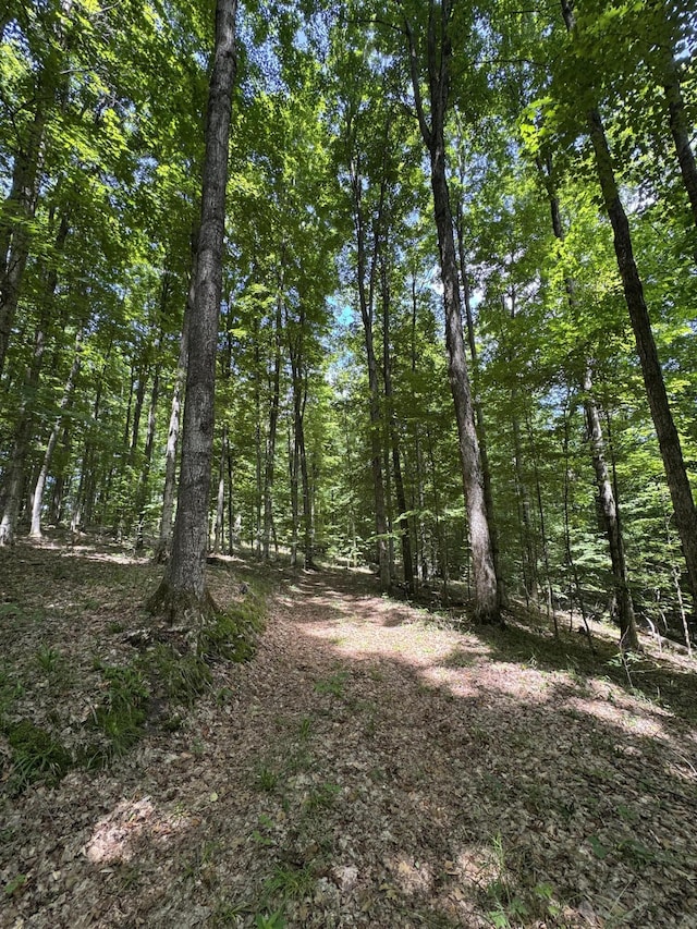7272 E M 113, Michigan, MI 49649 - photo 56