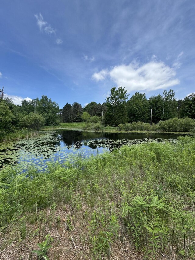 7272 E M 113, Michigan, MI 49649 - photo 55