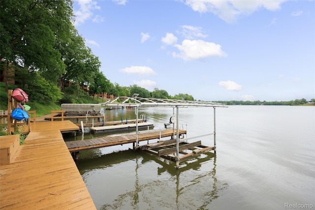 48201 Bayshore Dr, Belleville, MI 48111 - photo 36