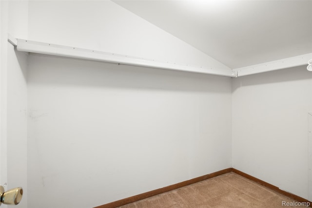 48201 Bayshore Dr, Belleville, MI 48111 - photo 23