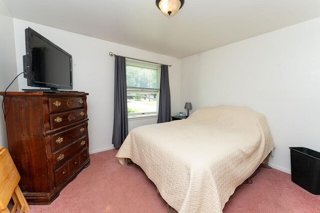 3931 Jim Dr, Michigan, MI 48722 - photo 22