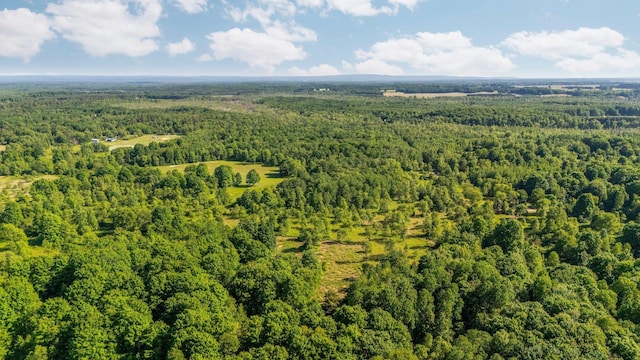 ParcelsA-D Sands Road, Kingsley, MI 49649