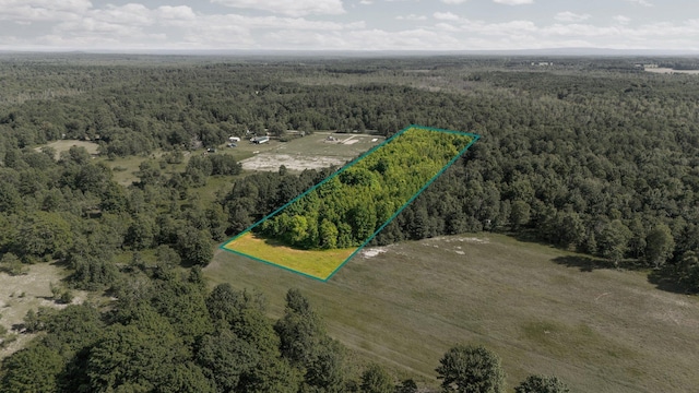 ParcelsA-D Sands Road, Kingsley, MI 49649