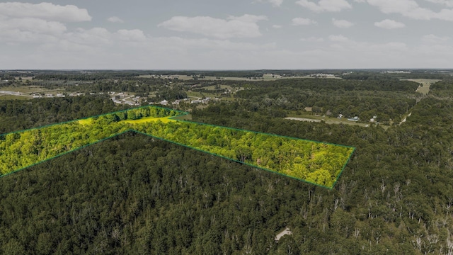 ParcelsA-D Sands Road, Kingsley, MI 49649