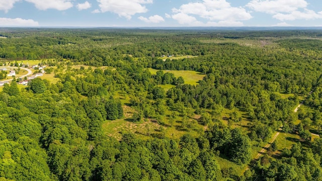 ParcelsA-D Sands Road, Kingsley, MI 49649