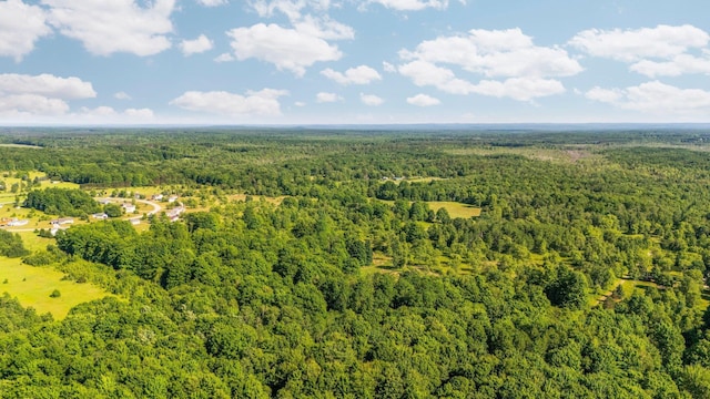 ParcelsA-D Sands Road, Kingsley, MI 49649