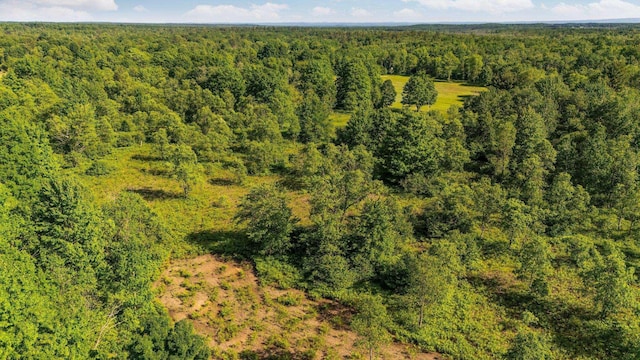 ParcelsA-D Sands Road, Kingsley, MI 49649