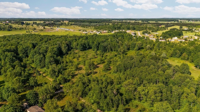 ParcelsA-D Sands Road, Kingsley, MI 49649