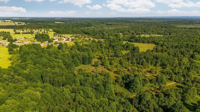 ParcelsA-D Sands Road, Kingsley, MI 49649