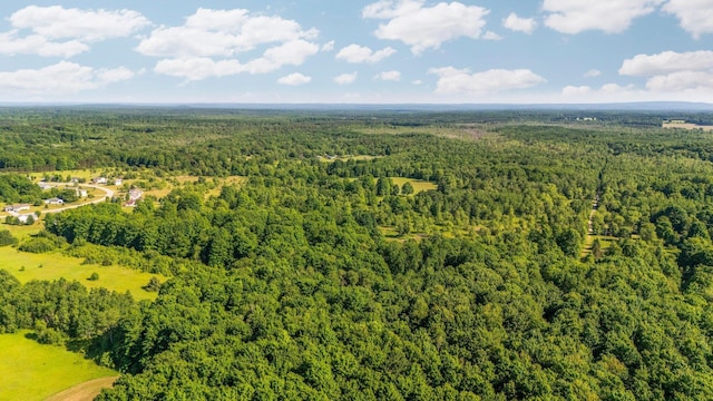 ParcelsA-D Sands Road, Kingsley, MI 49649