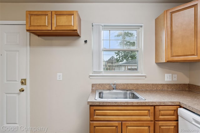 2450 Hewitt St, Hamtramck, MI 48212 - kitchen with white dishwasher and brown cabinetry