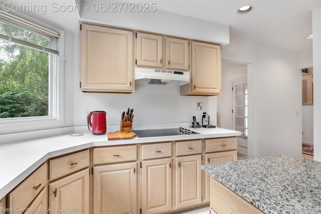 1524 Waverly Dr, Troy, MI 48098 - photo 16