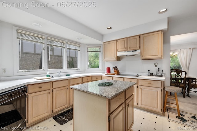 1524 Waverly Dr, Troy, MI 48098 - photo 15