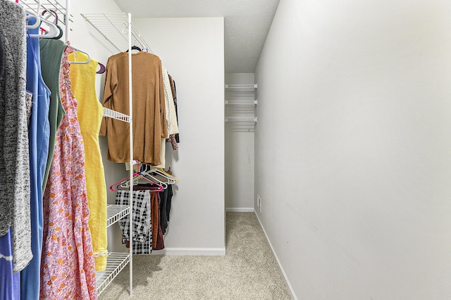 8601 Hathaway Rd, Kalamazoo, MI 49009 - spacious closet featuring carpet flooring